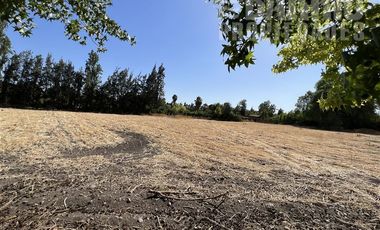 Sitio en Venta en Chicureo