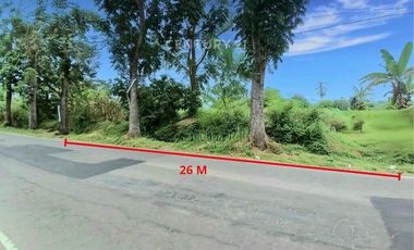 Tanah Pekarangan 1054m2 Dekat Sleman City Hall Cocok Untuk Bisnis