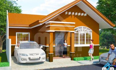 Commercial Townhouses for SALE in Naga City, Cebu