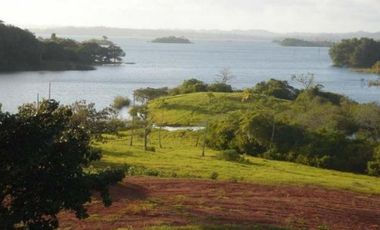 Venta: Finca de 100 Hectáreas frente al Lago Gatún