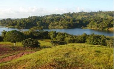 Venta: Finca de 100 Hectáreas frente al Lago Gatún