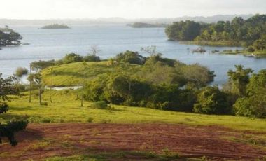 Venta: Finca de 100 Hectáreas frente al Lago Gatún