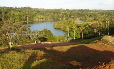 Venta: Finca de 100 Hectáreas frente al Lago Gatún