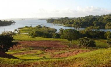 Venta: Finca de 100 Hectáreas frente al Lago Gatún