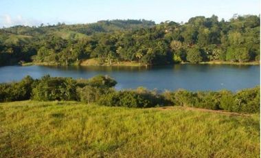 Venta: Finca de 100 Hectáreas frente al Lago Gatún