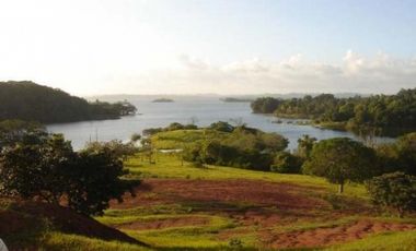 Venta: Finca de 100 Hectáreas frente al Lago Gatún