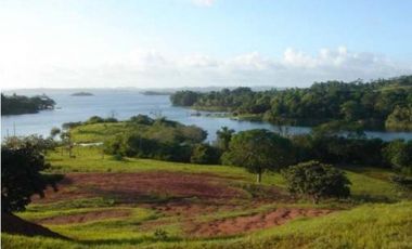 Venta: Finca de 100 Hectáreas frente al Lago Gatún