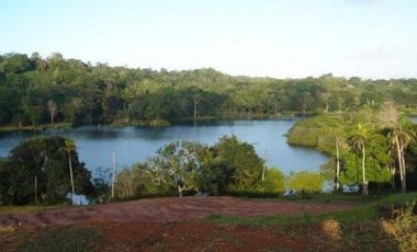 Venta: Finca de 100 Hectáreas frente al Lago Gatún