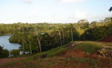 Venta: Finca de 100 Hectáreas frente al Lago Gatún