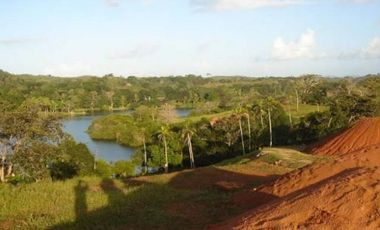 Venta: Finca de 100 Hectáreas frente al Lago Gatún