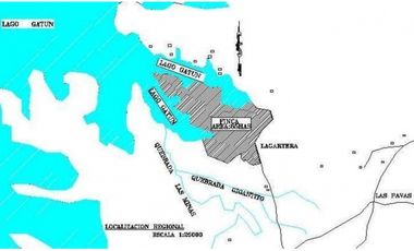 Venta: Finca de 100 Hectáreas frente al Lago Gatún