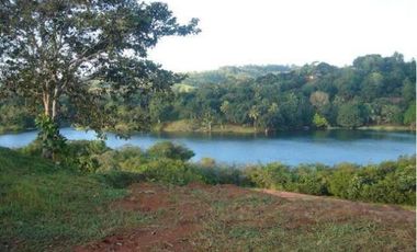 Venta: Finca de 100 Hectáreas frente al Lago Gatún