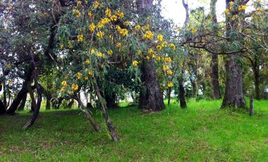 Casa en Aeródromo  Calcurrupe   Lago Ranco