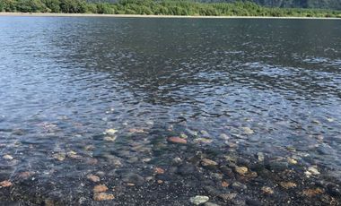 Casa en Aeródromo  Calcurrupe   Lago Ranco
