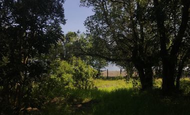 Casa en Aeródromo  Calcurrupe   Lago Ranco