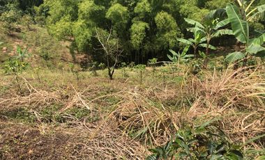 LOTE EN VENTA EN SECTOR EL TAMBO/DOSQUEBRADAS