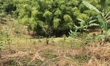 LOTE EN VENTA EN SECTOR EL TAMBO/DOSQUEBRADAS