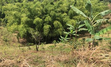 LOTE EN VENTA EN SECTOR EL TAMBO/DOSQUEBRADAS