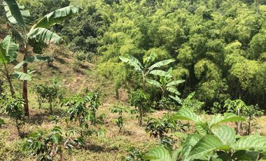 LOTE EN VENTA EN SECTOR EL TAMBO/DOSQUEBRADAS