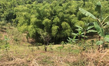 LOTE EN VENTA EN SECTOR EL TAMBO/DOSQUEBRADAS