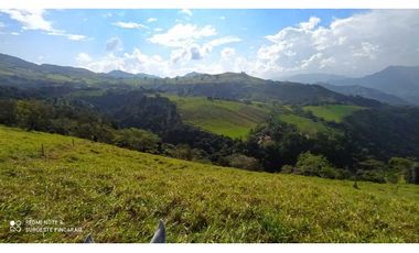VENTA LOTE TARSO, SUROESTE ANTIOQUEÑO
