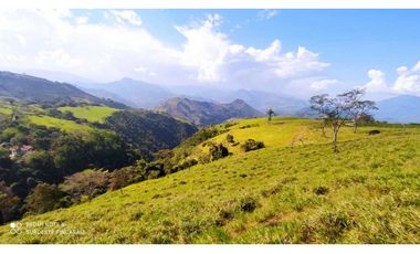 VENTA LOTE TARSO, SUROESTE ANTIOQUEÑO