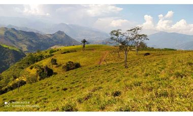 VENTA LOTE TARSO, SUROESTE ANTIOQUEÑO