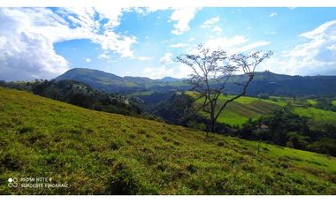 VENTA LOTE TARSO, SUROESTE ANTIOQUEÑO
