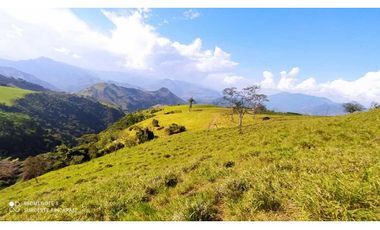 VENTA LOTE TARSO, SUROESTE ANTIOQUEÑO