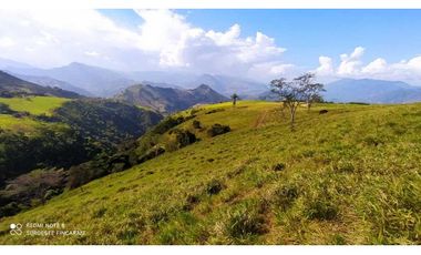 VENTA LOTE TARSO, SUROESTE ANTIOQUEÑO