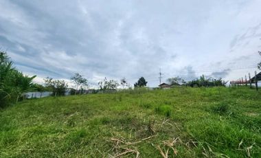 lote en venta en sin barrio. Cod V6828774