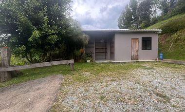 finca en arriendo en vereda mampuesto. Cod A514534