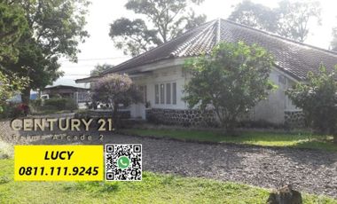 Villa Perkebunan dg Bangunan Klasik di Cipanas Bogor 3288-LR 0811111----