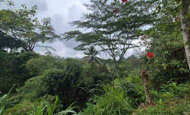 For Sale Beautiful Villa in Sebatu, Tegalalang - Near Ubud