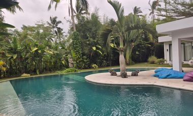 For Sale Beautiful Villa in Sebatu, Tegalalang - Near Ubud