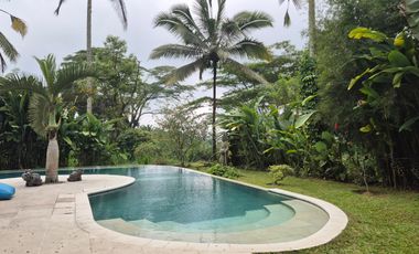 For Sale Beautiful Villa in Sebatu, Tegalalang - Near Ubud