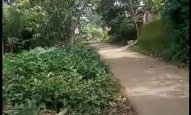 2,5 Ha Kebun Subur Desa Sumur Bandung, Cipatat, Bandung Barat
