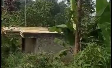 2,5 Ha Kebun Subur Desa Sumur Bandung, Cipatat, Bandung Barat