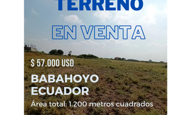 Terreno en Venta, Lotización Las Tolas, Babahoyo, 20 x 60, 1200 m2
