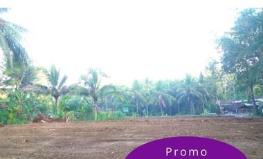 Kavling Purworejo Promo