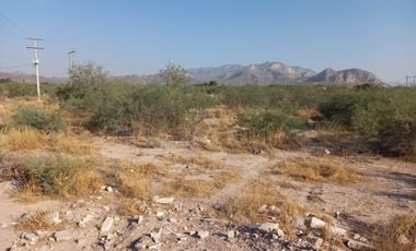 TERRENO EN VENTA LEÓN GUZMAN, LERDO DRO.