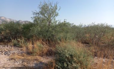 TERRENO EN VENTA LEÓN GUZMAN, LERDO DRO.