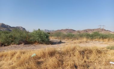 TERRENO EN VENTA LEÓN GUZMAN, LERDO DRO.