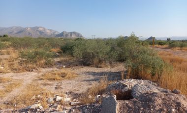 TERRENO EN VENTA LEÓN GUZMAN, LERDO DRO.