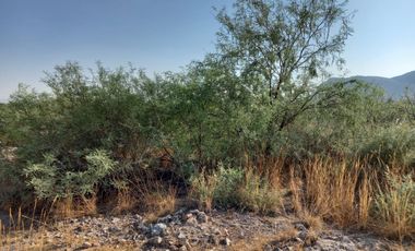 TERRENO EN VENTA LEÓN GUZMAN, LERDO DRO.