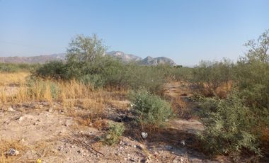 TERRENO EN VENTA LEÓN GUZMAN, LERDO DRO.