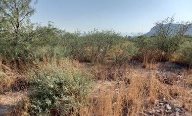 TERRENO EN VENTA LEÓN GUZMAN, LERDO DRO.