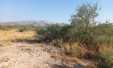 TERRENO EN VENTA LEÓN GUZMAN, LERDO DRO.