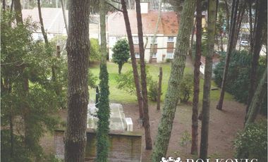 CABAÑA  N 2 VILLA ALPINA - CARILO -
