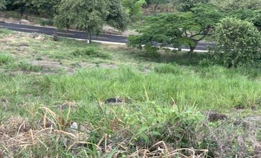 lote en venta en parcelación campestre laguna seca. Cod V107776